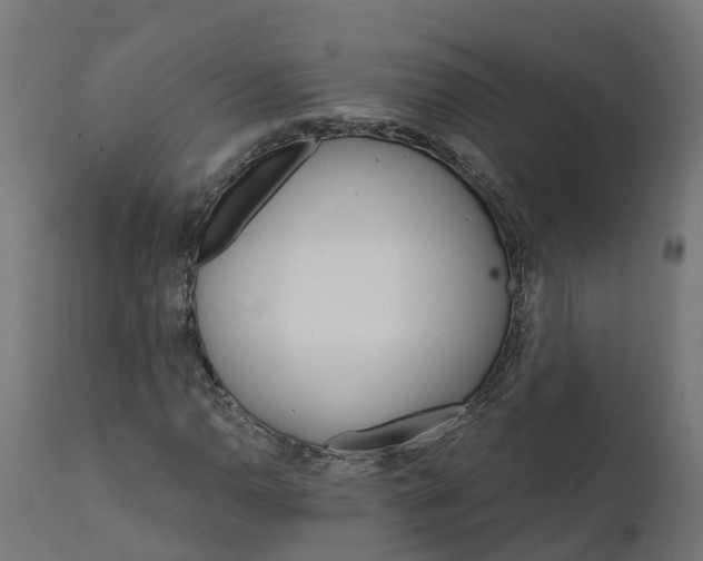 X0000111511110200907281308
