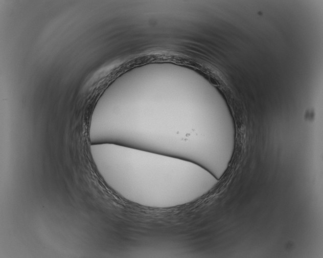 X0000111511111200907281308
