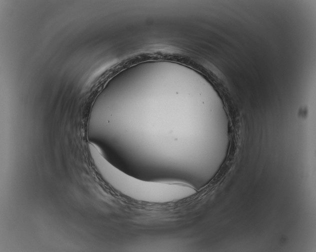 X0000111511112200907281308