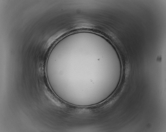 X0000111511113200907281308