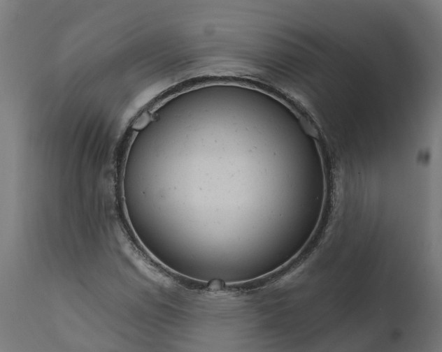 X0000111511114200907281308