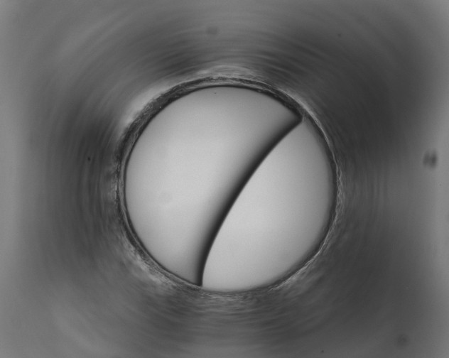 X0000111511115200907281308