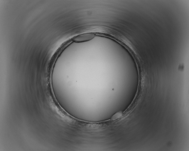 X0000111511116200907281308