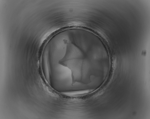 X0000111511117200907281308