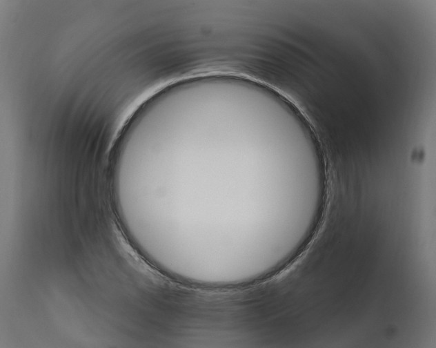 X0000111511118200907281308