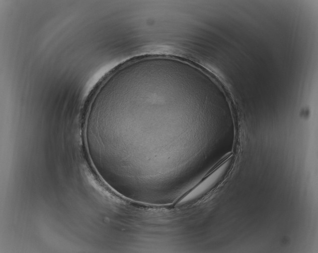 X0000111511120200907281308