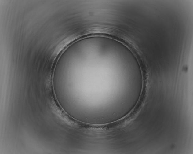 X0000111511121200907281308