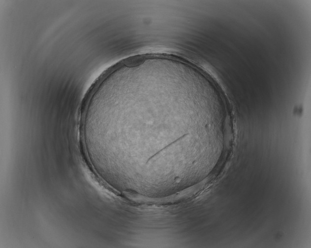 X0000111511124200907281308