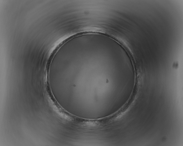 X0000111511125200907281308