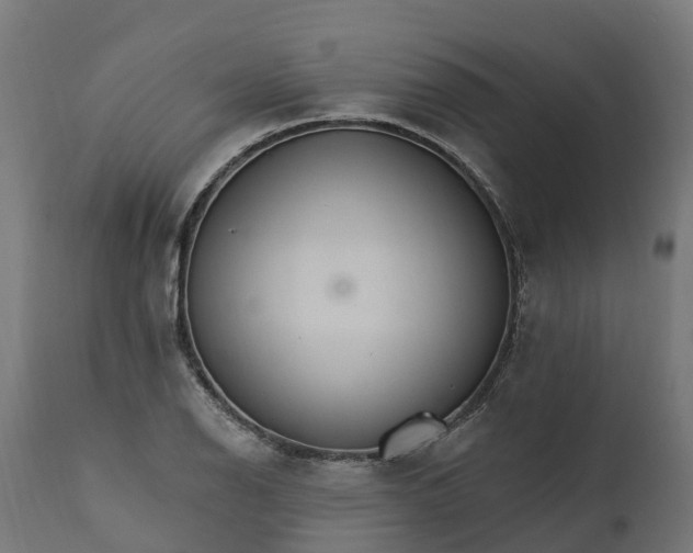 X0000111511126200907281308