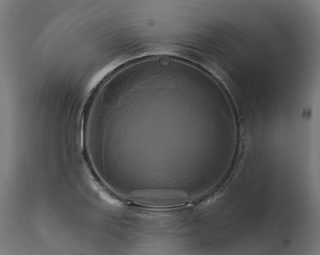 X0000111511127200907281308