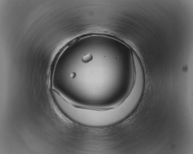 X0000111511128200907281308