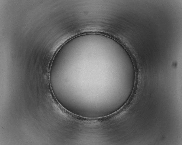 X0000111511129200907281308