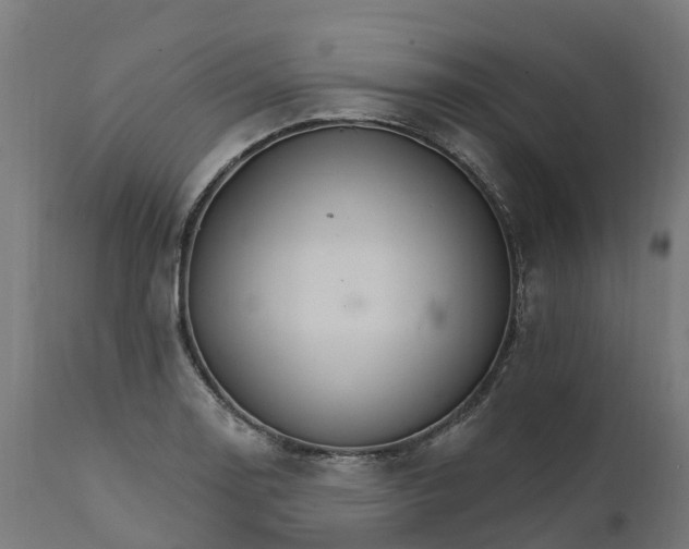 X0000111511130200907281308