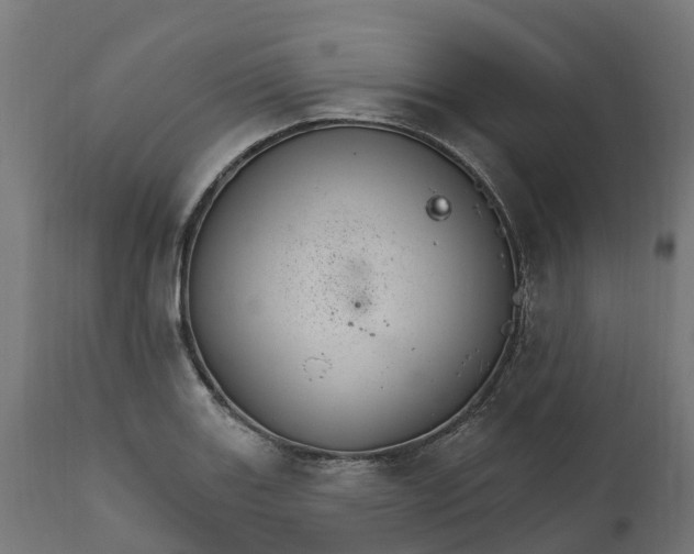 X0000111511131200907281308