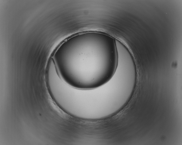 X0000111511132200907281308