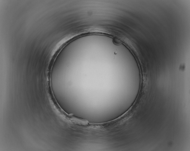 X0000111511133200907281308