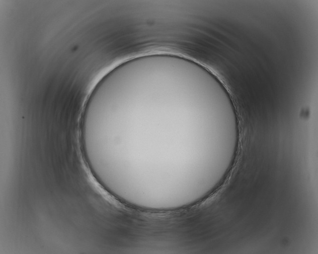 X0000111511134200907281308