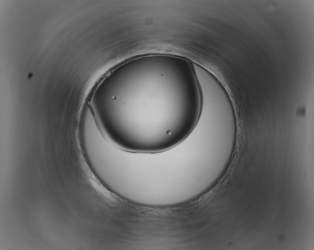X0000111511136200907281308