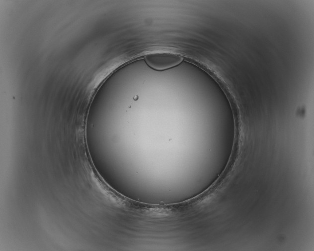 X0000111511137200907281308