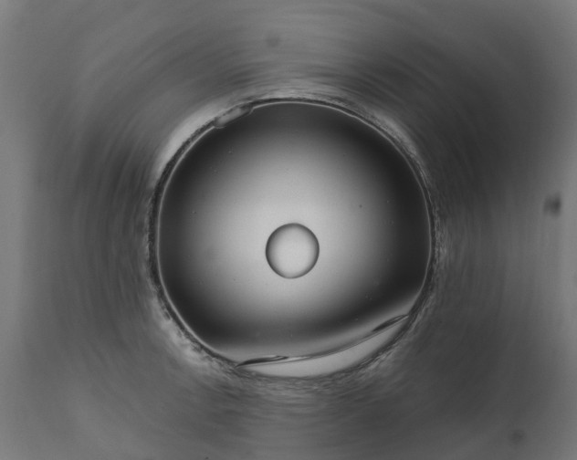 X0000111511138200907281308