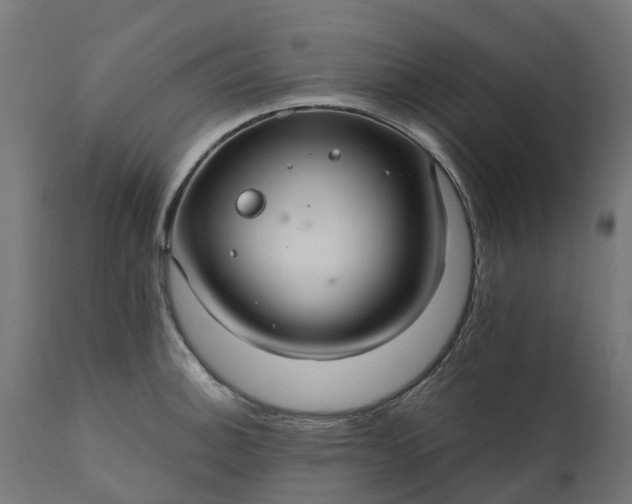 X0000111511140200907281308