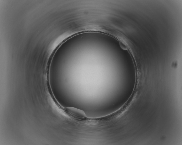 X0000111511141200907281308