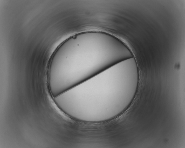 X0000111511142200907281308