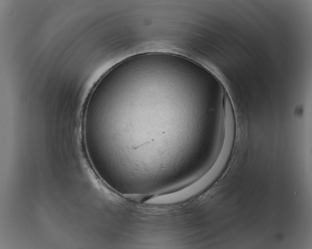X0000111511144200907281308