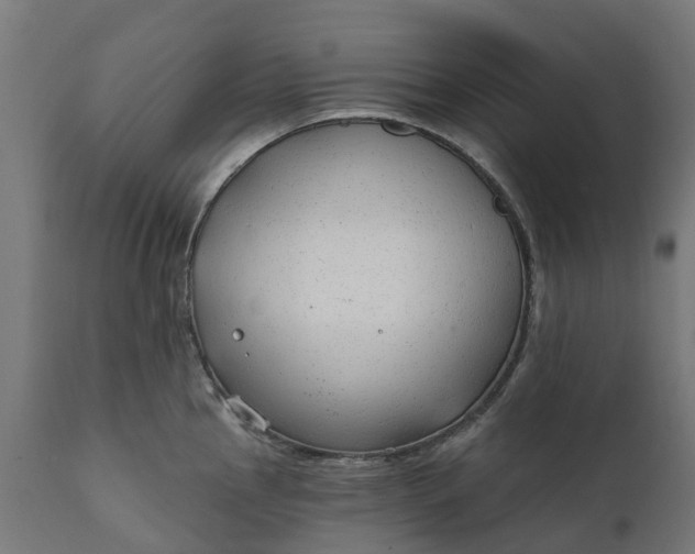 X0000111511145200907281308
