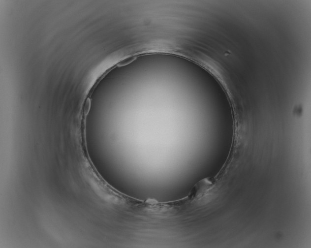 X0000111511146200907281308