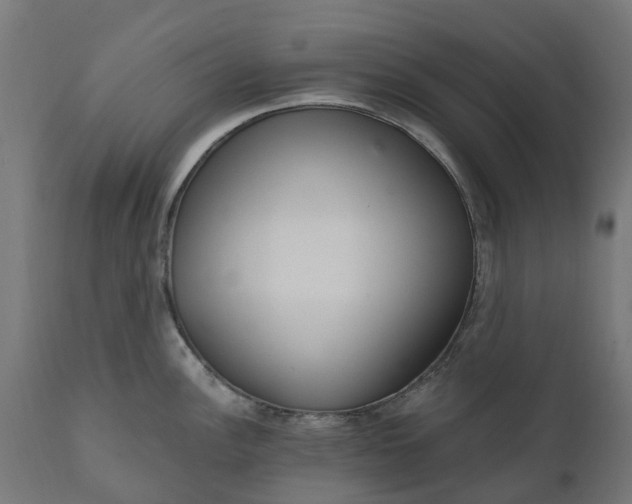 X0000111511148200907281308