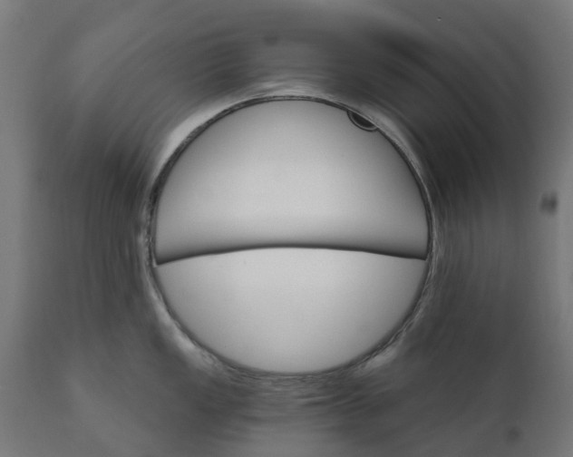 X0000111511149200907281308
