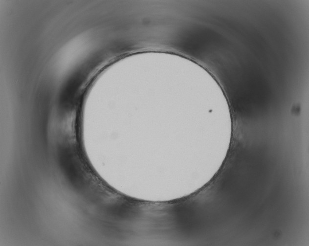 X0000111511150200907281308