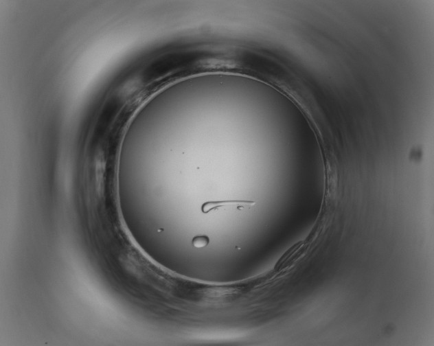 X0000111511151200907281308