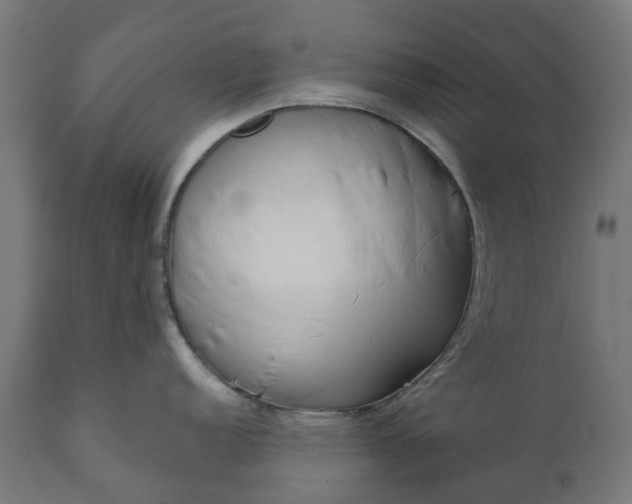 X0000111511152200907281308