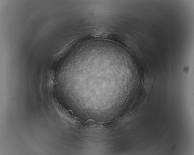 X0000111511154200907281308