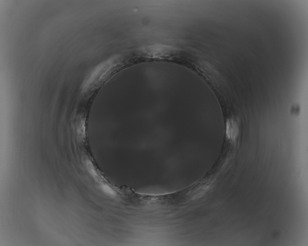 X0000111511155200907281308