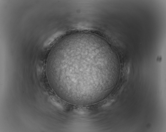 X0000111511157200907281308