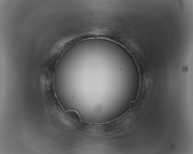 X0000111511158200907281308