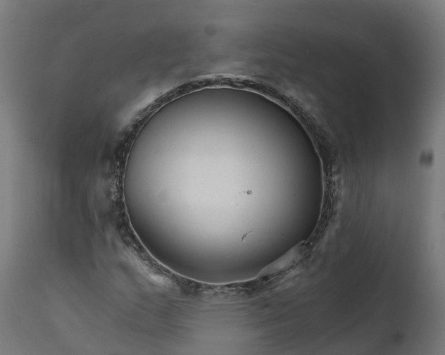 X0000111511159200907281308
