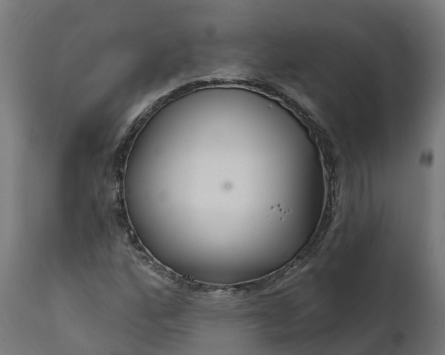 X0000111511160200907281308