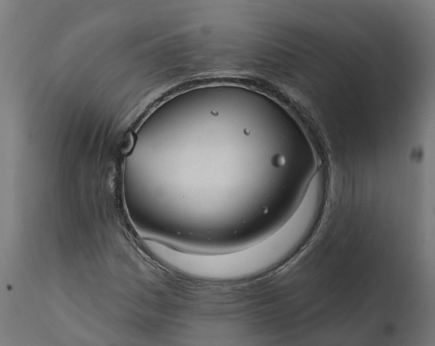 X0000111511161200907281307