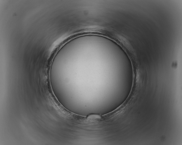 X0000111511164200907281307
