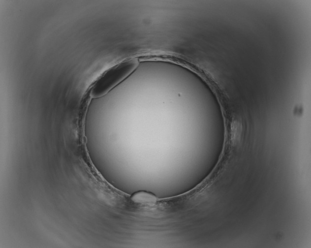 X0000111511165200907281307