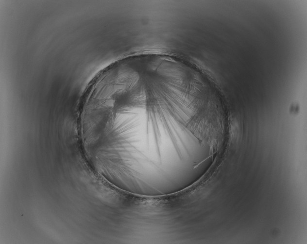 X0000111511166200907281307