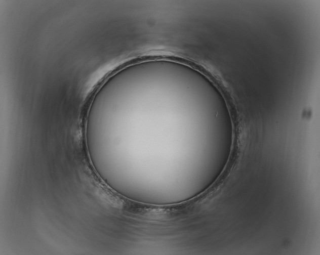 X0000111511167200907281307
