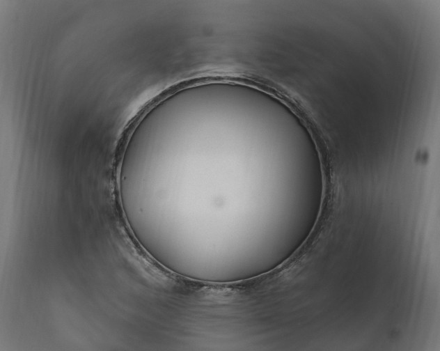 X0000111511168200907281307