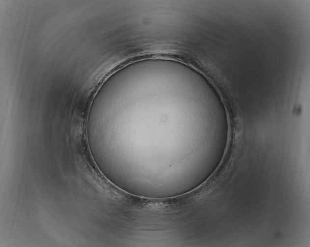 X0000111511169200907281307