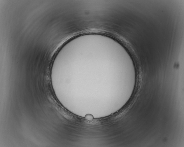 X0000111511170200907281307